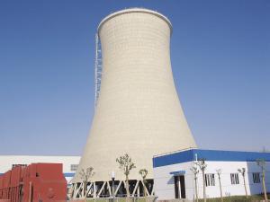 尊龙集团中标斯里兰卡15MW生物质发电项目