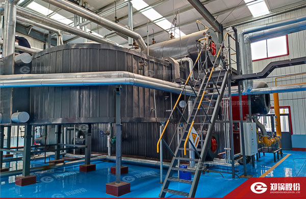 降耗“实招”！尊龙集团燃气锅炉助力化工企业能效提升