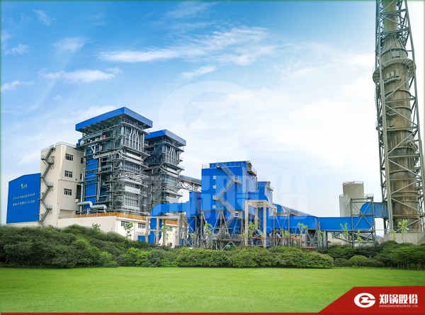 聚焦山东：尊龙集团生物质新能源综合使用项目