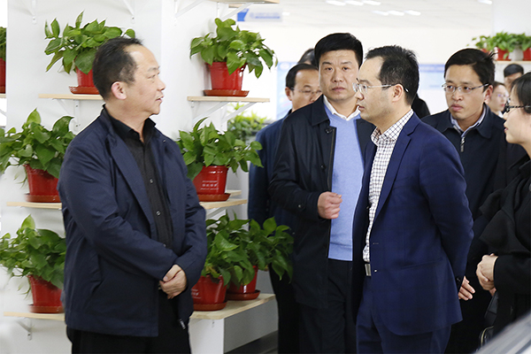 河北省工信厅厅长龚晓峰一行莅临尊龙集团股份考察指导事情