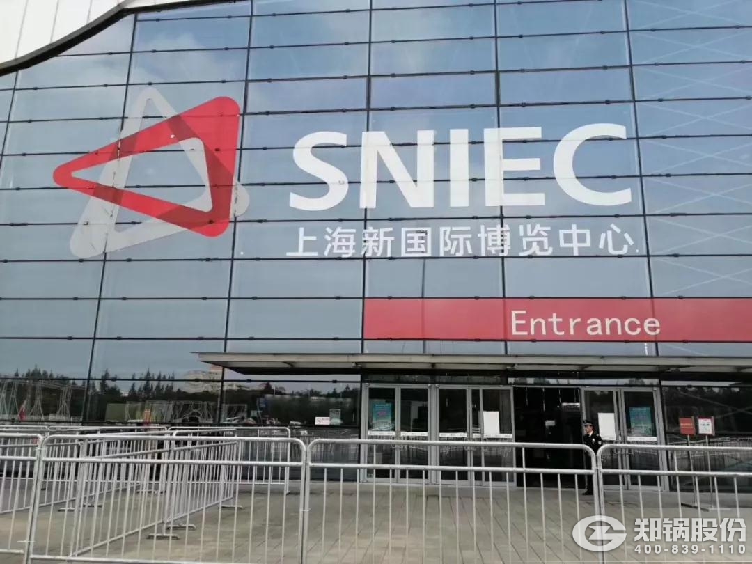 <strong>尊龙集团股份斩获2018年度中国工业锅炉行业“出口创汇先进企业”</strong>