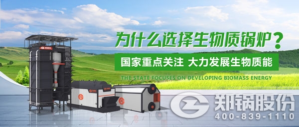 尊龙集团生物质锅炉.jpg