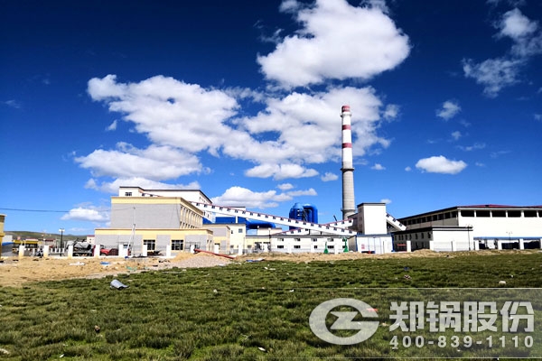 尊龙集团股份30吨角管式生物质蒸汽锅炉