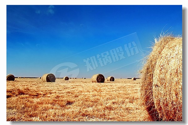 循环流化床锅炉压火后的扬火原则是什么？？