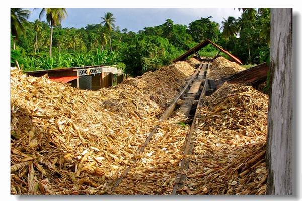 温室工业用锅炉价钱