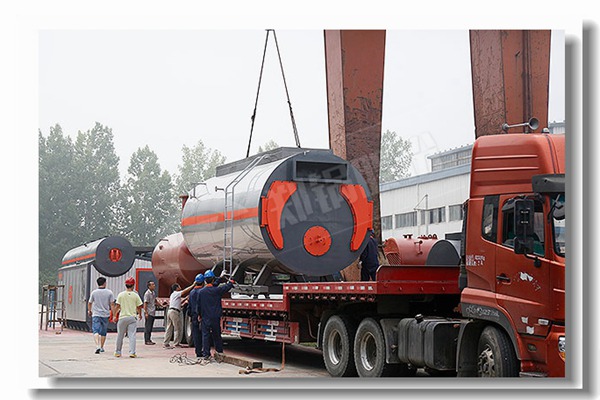 生物质蒸汽锅炉内部结构图是什么样的？？？