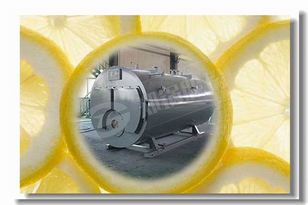 蒸汽锅炉烧烟煤与无烟煤较量有什么区别？？