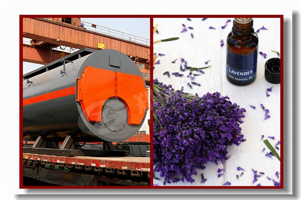 压力成套蒸汽工业燃气锅炉